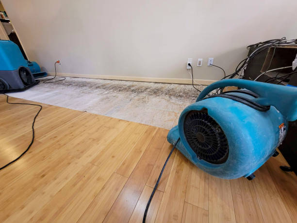 Professional Flood Damage Cleanup technician working in Marshfield, WI